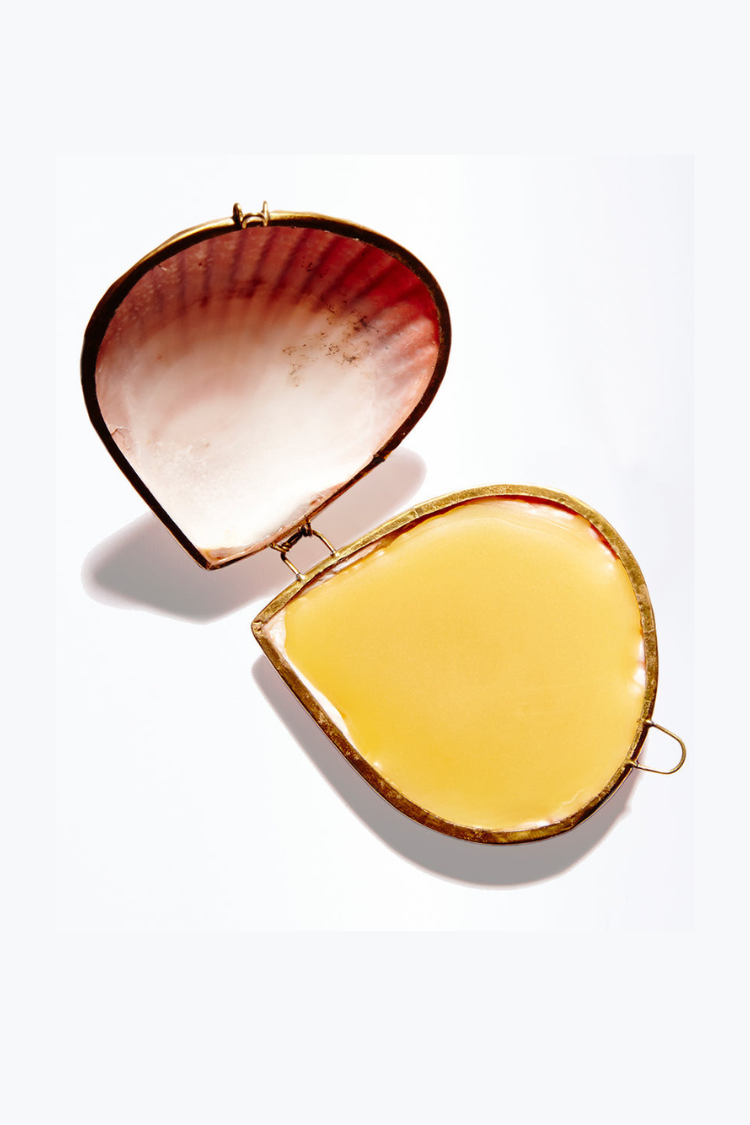 Leaves + Wood Perfume | Anya Lust Women's Fragrance | Leaves + Wood  Botanical Perfume in a Seashell