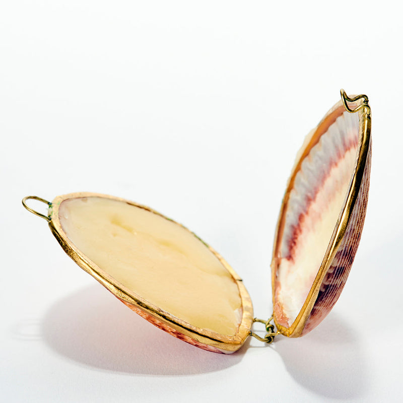 Leaves + Wood Perfume | Anya Lust Women's Fragrance | Leaves + Wood  Botanical Perfume in a Seashell