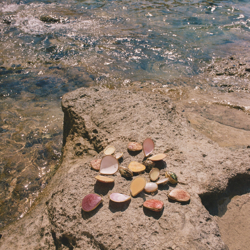 Leaves + Wood Perfume | Anya Lust Women's Fragrance | Leaves + Wood  Botanical Perfume in a Seashell