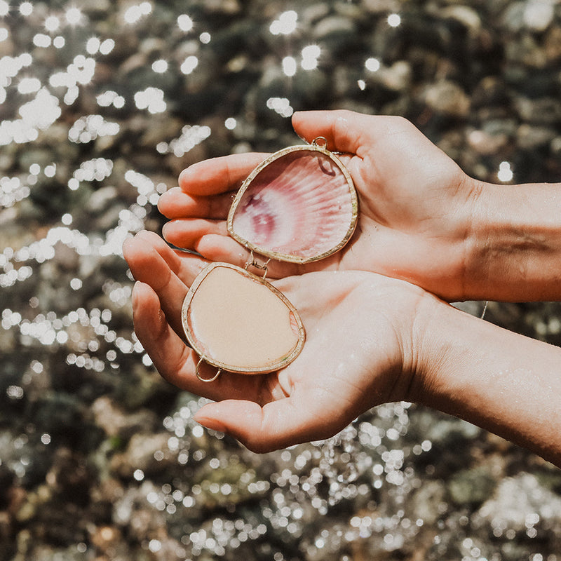 Leaves + Wood Perfume | Anya Lust Women's Fragrance | Leaves + Wood  Botanical Perfume in a Seashell