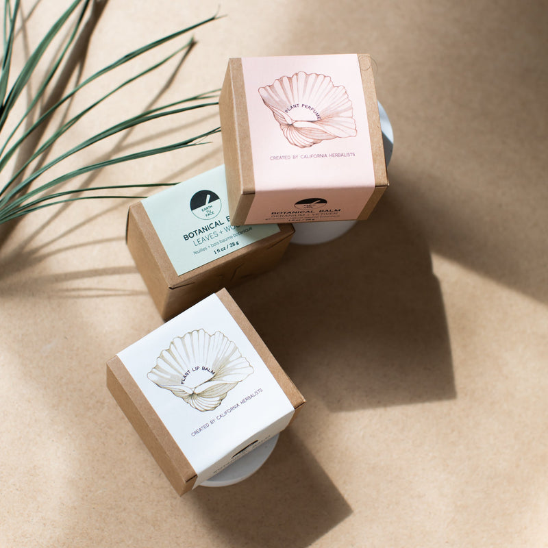 Leaves + Wood Perfume | Anya Lust Women's Fragrance | Leaves + Wood  Botanical Perfume in a Seashell boxes
