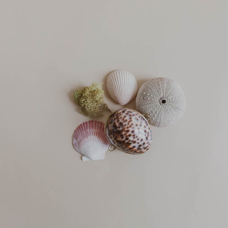Passion Fruit + Yuzu Lip Balm | Anya Lust Women's Wellness | Botanical Lip Balm in Natural Seashell Compact
for Everyday Use