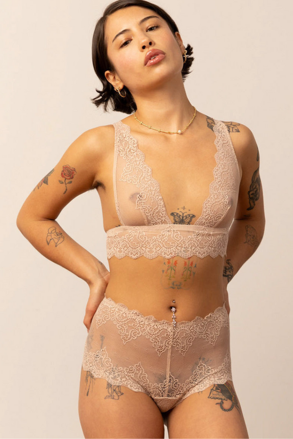 Sofia Lace Cheeky Brief | Anya Lust Luxury Lingerie | Romantic Sheer Brief Panty For Women 